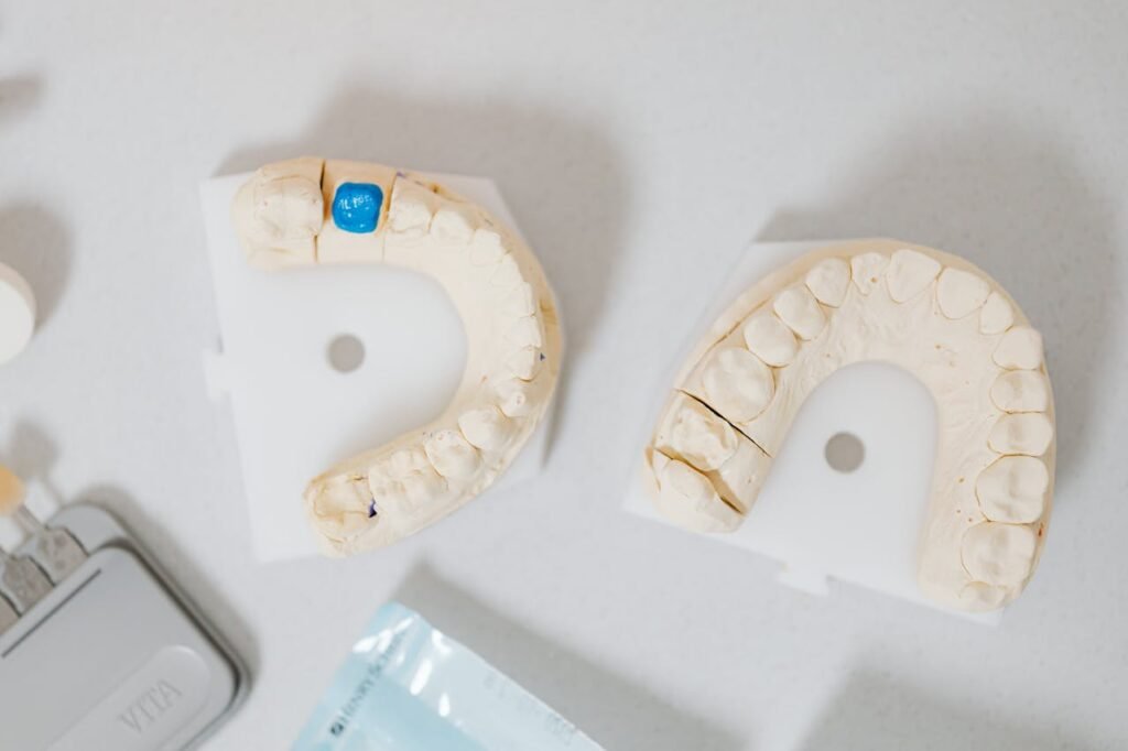 Dental Teeth Cast Models on Table